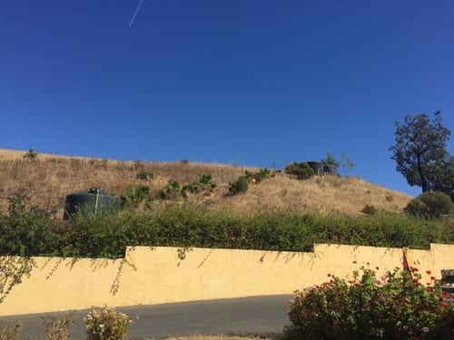 IMG 0007